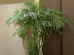 -聚宾楼·烤鸭·家宴(科技三路店)