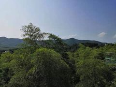 -陶祖圣境风景区