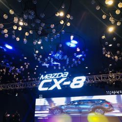 -西安威斯汀大酒店·宴会厅