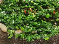 -兰木肆·云南菜(龙湖U城天街店)
