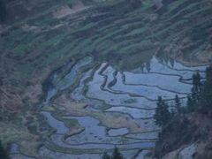 -紫鹊界梯田景区