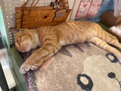 -槟城街头艺术街区