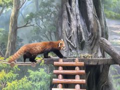 -海合安成都极地海洋公园