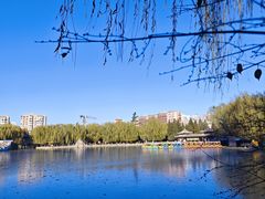 -团结湖公园