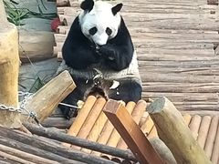 -沈阳森林动物园