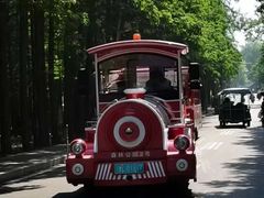 -渡海小渔村.老辈日照菜