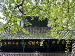 -青城山