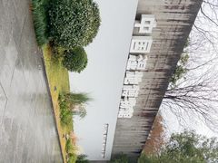 -中国湿地博物馆