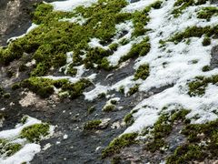 -秦岭终南山世界地质公园翠华山景区