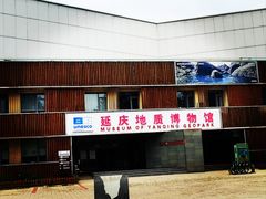 -延庆地质公园博物馆