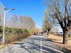 -马家湾湿地公园
