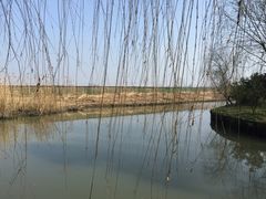 -同里国家湿地公园