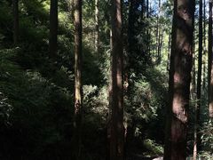 -山王坪喀斯特国家生态公园