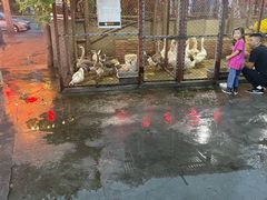 -鱼窝棚柴火铁锅炖(富山屯店)