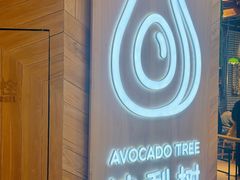 -油梨树AVOCADO TREE(嘉里中心店)