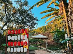 -桃源山庄·水蜜桃采摘·柴火鸡·烧烤团建(龙泉山店)
