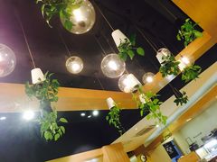 -柴务处·柴犬主题狗咖