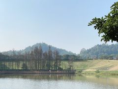-番禺大夫山森林公园
