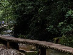 -青城山