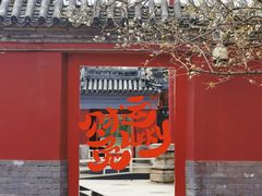 -北京艺术博物馆(万寿寺)