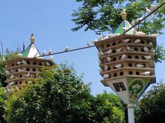 -南昌之星摩天轮