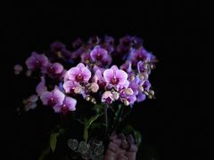 -沈园堂·陆公馆(开元名都店)