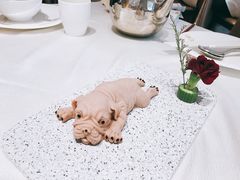 网红沙皮狗-光明招待所(邦凯科技园店)