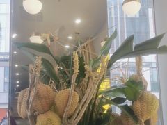 -猫王榴莲世家(三里屯SOHO商场店)