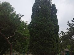 -二一九公园