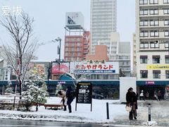 -札幌二条市场 大矶(本店)
