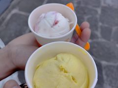 -iceason爱茜茜里·意大利健康冰淇淋(骑龙巷店)