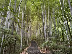 -南山风景名胜区