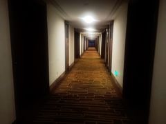 -宜春明月山维景国际温泉度假酒店