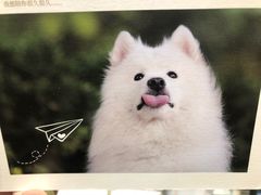 -猫的天空之城概念书店(苏州平江店)
