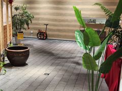 -大视光学•LINDBERG林德伯格•全球手工眼镜集合店(王府井店)
