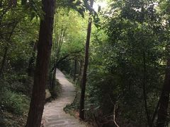 -狐尾山公园