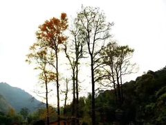 -邱芳粉店(迎宾大道旗舰店)