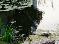 -竹西公园