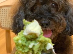 -KUMO KUMO甜品·冰淇淋(深圳壹方城店)