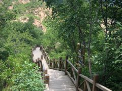 -大岭沟猕猴桃谷风景区