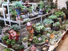 -双季花艺园艺市场(浦东店)