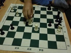 -常青藤国际象棋(新奥店)