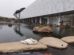 -罗红摄影艺术馆