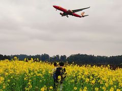 -空港花田景区