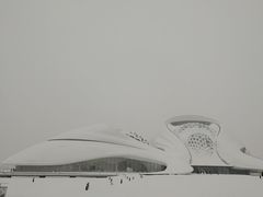 -哈尔滨大剧院
