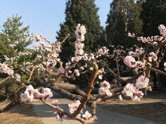 -胶东海鲜大排档(北太平庄店)