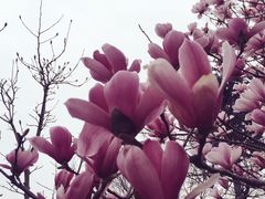 -艾溪湖湿地公园