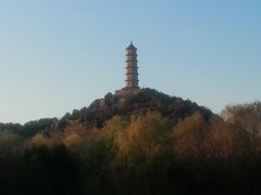 -北坞公园