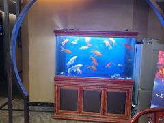 -知足堂养生会所(碑亭巷店)