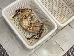 -驻海渔市(置信店)